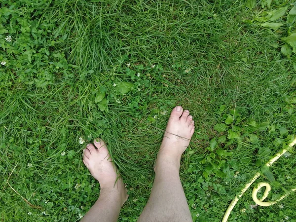 feet on the grass. barefoot on the lawn. green grass and bare feet. you walk on the grass. walking on the lawn. walk barefoot.