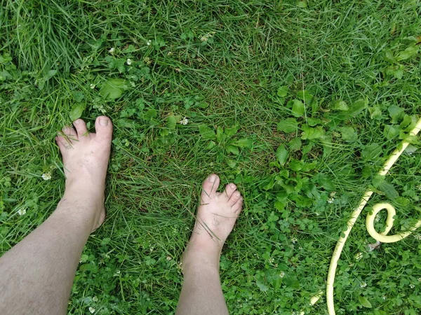 feet on the grass. barefoot on the lawn. green grass and bare feet. you walk on the grass. walking on the lawn. walk barefoot.