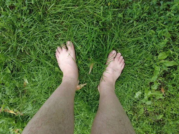 feet on the grass. barefoot on the lawn. green grass and bare feet. you walk on the grass. walking on the lawn. walk barefoot.
