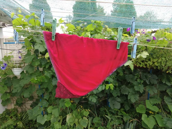 Clothes Rope Panties Rope Red Shorts Clothes Dried Washing Clean — стоковое фото