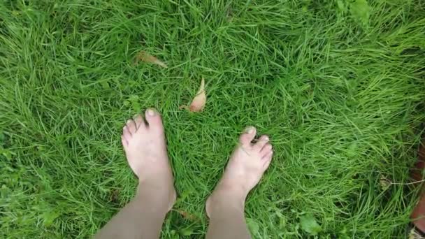 Feet Grass Barefoot Lawn Green Grass Bare Feet You Walk — Vídeo de Stock