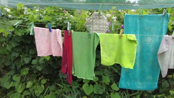 Clothes Rope Panties Rope Red Shorts Clothes Dried Washing Clean — Wideo stockowe