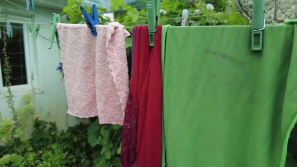 Clothes Rope Panties Rope Red Shorts Clothes Dried Washing Clean — Videoclip de stoc