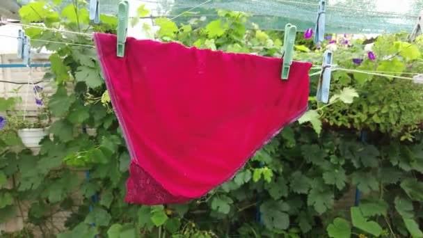 Clothes Rope Panties Rope Red Shorts Clothes Dried Washing Clean — Stockvideo
