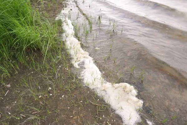 sea foam. foam on the shore. river water with foam. white foam on the sand. b