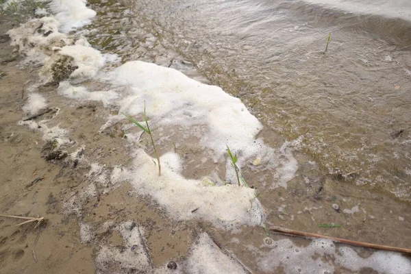 sea foam. foam on the shore. river water with foam. white foam on the sand. b
