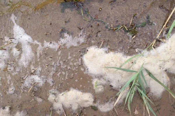 sea foam. foam on the shore. river water with foam. white foam on the sand. b