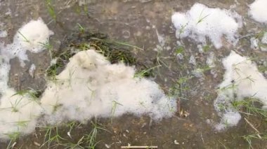 sea foam. foam on the shore. river water with foam. white foam on the sand. brown sand on the shore. waves and foam.