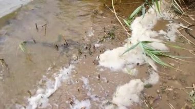 sea foam. foam on the shore. river water with foam. white foam on the sand. brown sand on the shore. waves and foam.