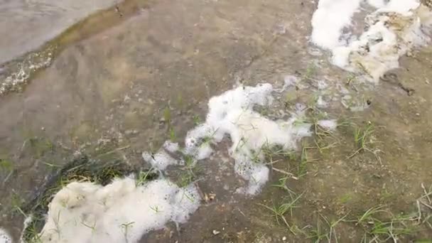 Sea Foam Foam Shore River Water Foam White Foam Sand — Wideo stockowe
