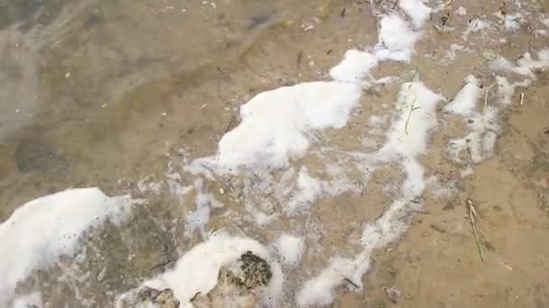 Sea Foam Foam Shore River Water Foam White Foam Sand — Vídeo de Stock