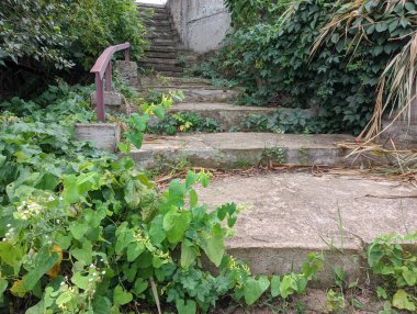 old concrete stairs. Granite stairs steps background - construction detail.Park landscape. Stone paved stairs in the park. Old stone stair case in the ancient temple with moss. stairs and grapes.