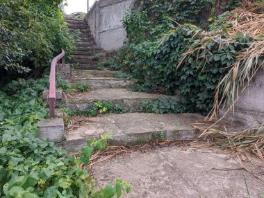 old concrete stairs. Granite stairs steps background - construction detail.Park landscape. Stone paved stairs in the park. Old stone stair case in the ancient temple with moss. stairs and grapes.