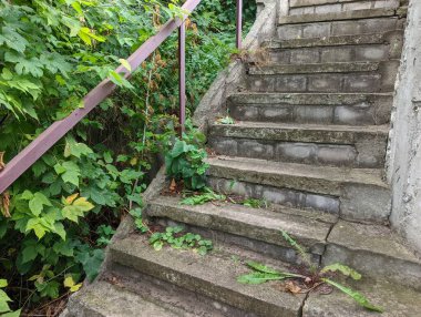 old concrete stairs. Granite stairs steps background - construction detail.Park landscape. Stone paved stairs in the park. Old stone stair case in the ancient temple with moss. stairs and grapes.