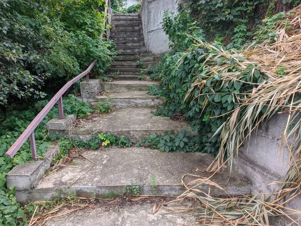 old concrete stairs. Granite stairs steps background - construction detail.Park landscape. Stone paved stairs in the park. Old stone stair case in the ancient temple with moss. stairs and grapes.
