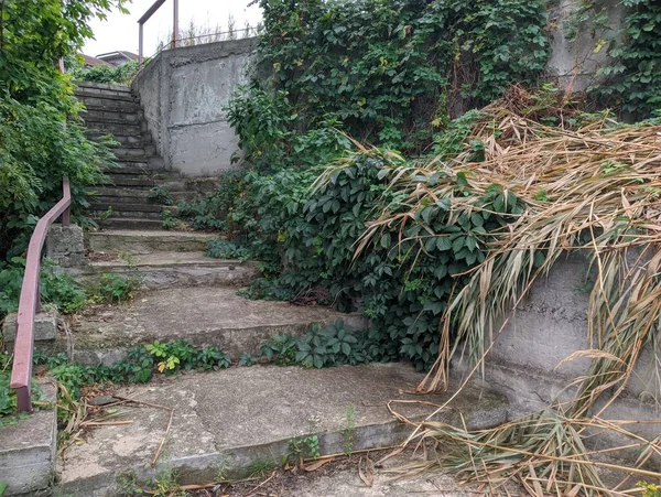 old concrete stairs. Granite stairs steps background - construction detail.Park landscape. Stone paved stairs in the park. Old stone stair case in the ancient temple with moss. stairs and grapes.