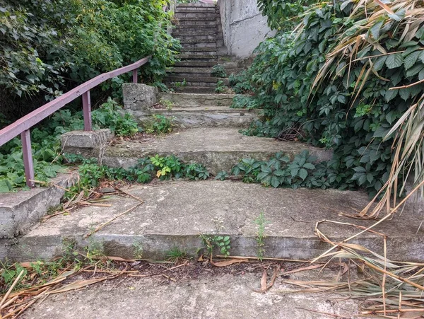 old concrete stairs. Granite stairs steps background - construction detail.Park landscape. Stone paved stairs in the park. Old stone stair case in the ancient temple with moss. stairs and grapes.