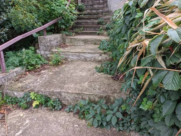 old concrete stairs. Granite stairs steps background - construction detail.Park landscape. Stone paved stairs in the park. Old stone stair case in the ancient temple with moss. stairs and grapes.