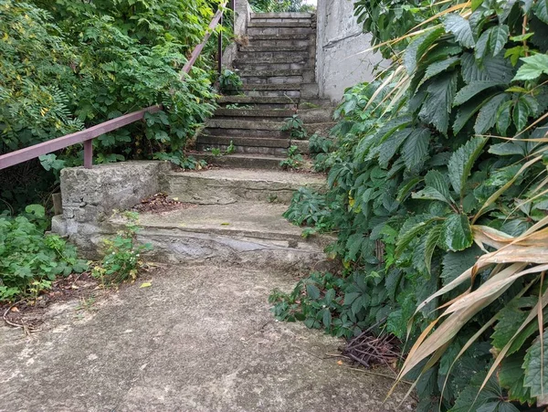 old concrete stairs. Granite stairs steps background - construction detail.Park landscape. Stone paved stairs in the park. Old stone stair case in the ancient temple with moss. stairs and grapes.