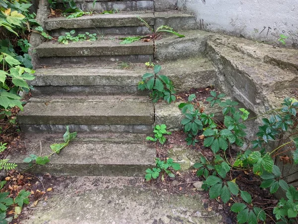 old concrete stairs. Granite stairs steps background - construction detail.Park landscape. Stone paved stairs in the park. Old stone stair case in the ancient temple with moss. stairs and grapes.