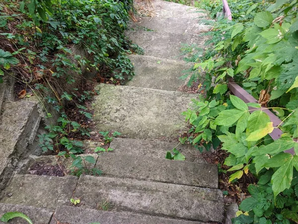 old concrete stairs. Granite stairs steps background - construction detail.Park landscape. Stone paved stairs in the park. Old stone stair case in the ancient temple with moss. stairs and grapes.