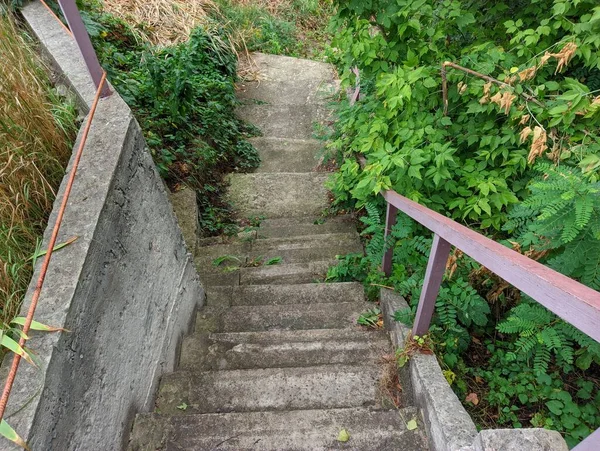 old concrete stairs. Granite stairs steps background - construction detail.Park landscape. Stone paved stairs in the park. Old stone stair case in the ancient temple with moss. stairs and grapes.