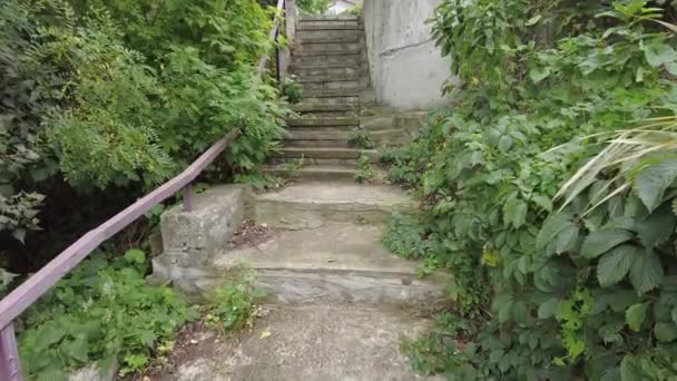 Παλιά Τσιμεντένια Σκάλα Γρανίτης Σκάλες Σκαλοπάτια Φόντο Λεπτομέρειες Κατασκευής Πάρκο — Αρχείο Βίντεο
