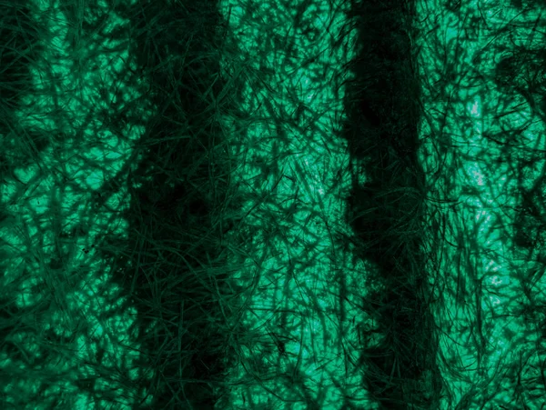 green abstract background. green fibers. Vintage green background with screen grunge pattern. Green textured paper. plastic fibers. Abstract green light trails in the dark, motion blur effect