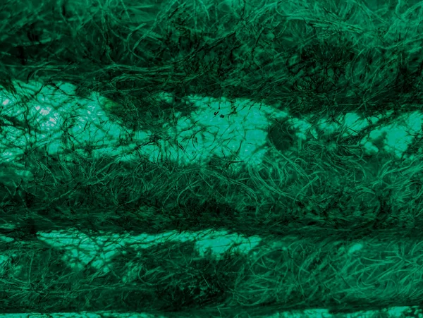 green abstract background. green fibers. Vintage green background with screen grunge pattern. Green textured paper. plastic fibers. Abstract green light trails in the dark, motion blur effect