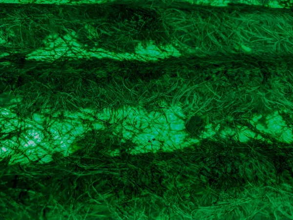 Green Abstract Background Green Fibers Vintage Green Background Screen Grunge — Stock fotografie