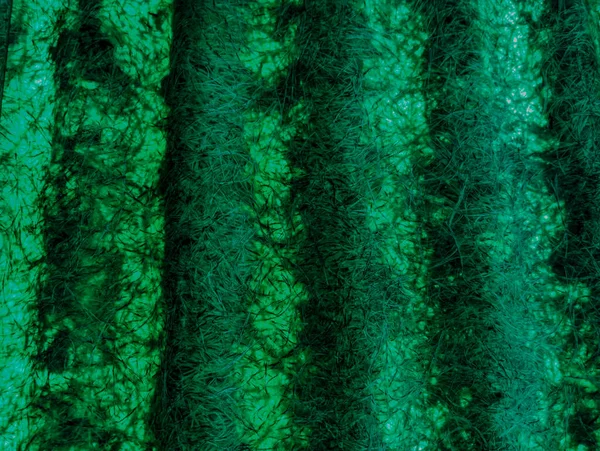 green abstract background. green fibers. Vintage green background with screen grunge pattern. Green textured paper. plastic fibers. Abstract green light trails in the dark, motion blur effect