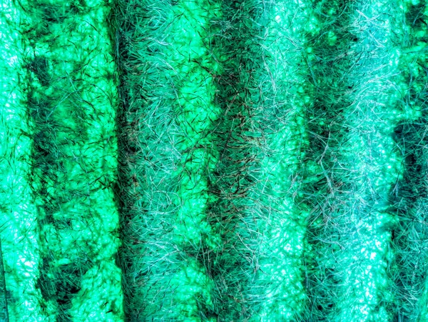 green abstract background. green fibers. Vintage green background with screen grunge pattern. Green textured paper. plastic fibers. Abstract green light trails in the dark, motion blur effect