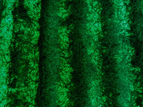 green abstract background. green fibers. Vintage green background with screen grunge pattern. Green textured paper. plastic fibers. Abstract green light trails in the dark, motion blur effect