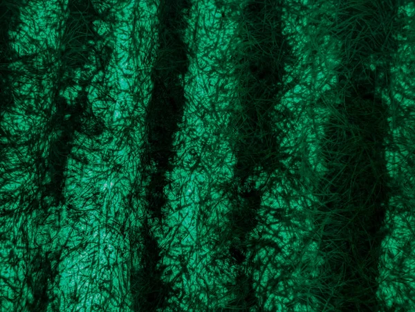 green abstract background. green fibers. Vintage green background with screen grunge pattern. Green textured paper. plastic fibers. Abstract green light trails in the dark, motion blur effect