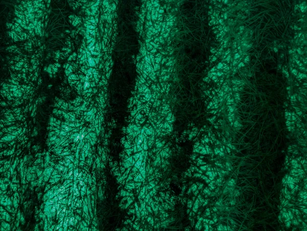 Green Abstract Background Green Fibers Vintage Green Background Screen Grunge — Stock fotografie