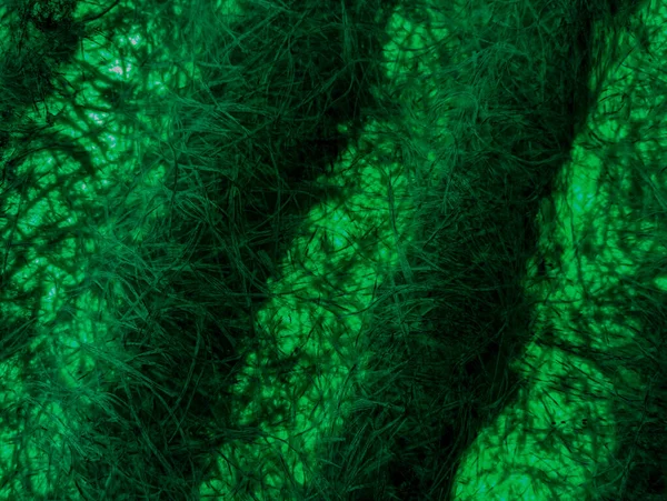 green abstract background. green fibers. Vintage green background with screen grunge pattern. Green textured paper. plastic fibers. Abstract green light trails in the dark, motion blur effect