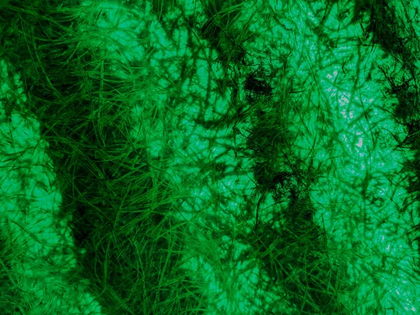 green abstract background. green fibers. Vintage green background with screen grunge pattern. Green textured paper. plastic fibers. Abstract green light trails in the dark, motion blur effect