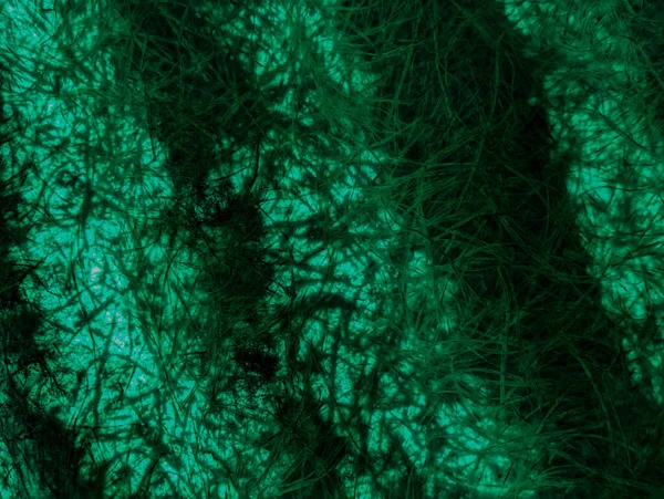 green abstract background. green fibers. Vintage green background with screen grunge pattern. Green textured paper. plastic fibers. Abstract green light trails in the dark, motion blur effect