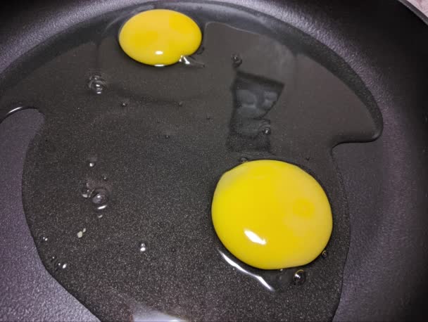 Scrambled Eggs Pan Broken Chicken Eggs Broken Raw Chicken Egg — Vídeo de stock