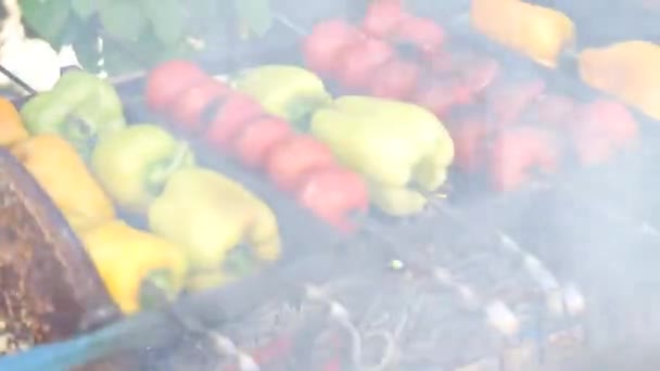 Fried Vegetables Fire Tomatoes Sweet Peppers Fire Vegan Menu Vegetables — Stok Video