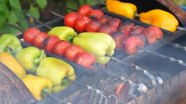 Fried Vegetables Fire Tomatoes Sweet Peppers Fire Vegan Menu Vegetables – Stock-video