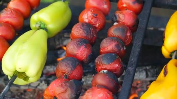 Fried Vegetables Fire Tomatoes Sweet Peppers Fire Vegan Menu Vegetables — Stockvideo