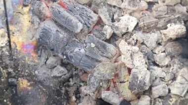 gray ash. coals. fire and ashes. coals and smoke. burnt firewood. fire. red flame.