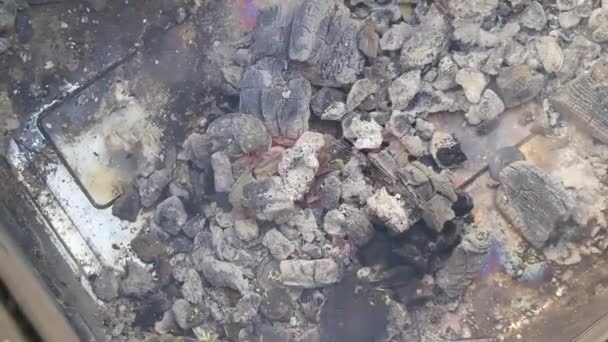 Gray Ash Coals Fire Ashes Coals Smoke Burnt Firewood Fire — Vídeo de Stock