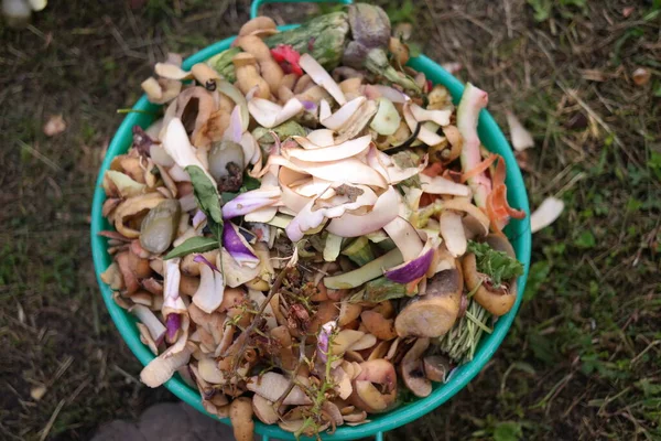 Reinigung Einem Eimer Gemüse Putzen Mülleimer Gemüseschälen Lebensmittelverschwendung Kompostierbare Lebensmittelreste — Stockfoto