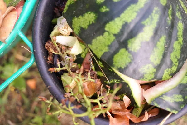 Kovada Temizlik Sebze Temizlemek Çöp Kutusu Sebze Kabuğu Yiyecek Atıkları — Stok fotoğraf