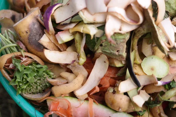 cleaning in a bucket. cleaning vegetables. trash can. peel of vegetables. food waste. Compostable Food Scraps, time lapse. Domestic waste for compost from fruits and vegetables.