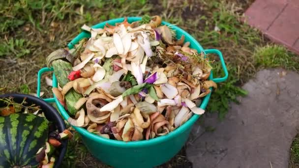 Kovada Temizlik Sebze Temizlemek Çöp Kutusu Sebze Kabuğu Yiyecek Atıkları — Stok video