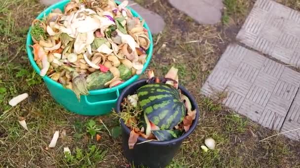 Limpieza Cubo Limpieza Verduras Cubo Basura Cáscara Verduras Residuos Alimentos — Vídeos de Stock