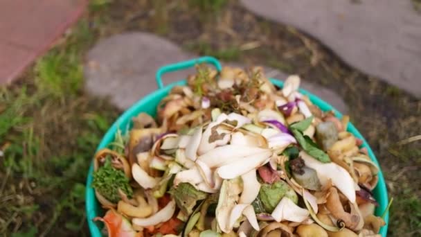 バケツの中で掃除する 野菜の掃除 ゴミが出る 野菜の皮 食品廃棄物 食品スクラップ 時間の経過を構成する 果物や野菜からの堆肥の国内廃棄物 — ストック動画